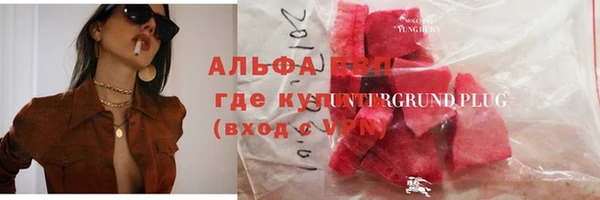 PSILOCYBIN Алзамай