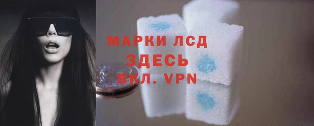 PSILOCYBIN Алзамай